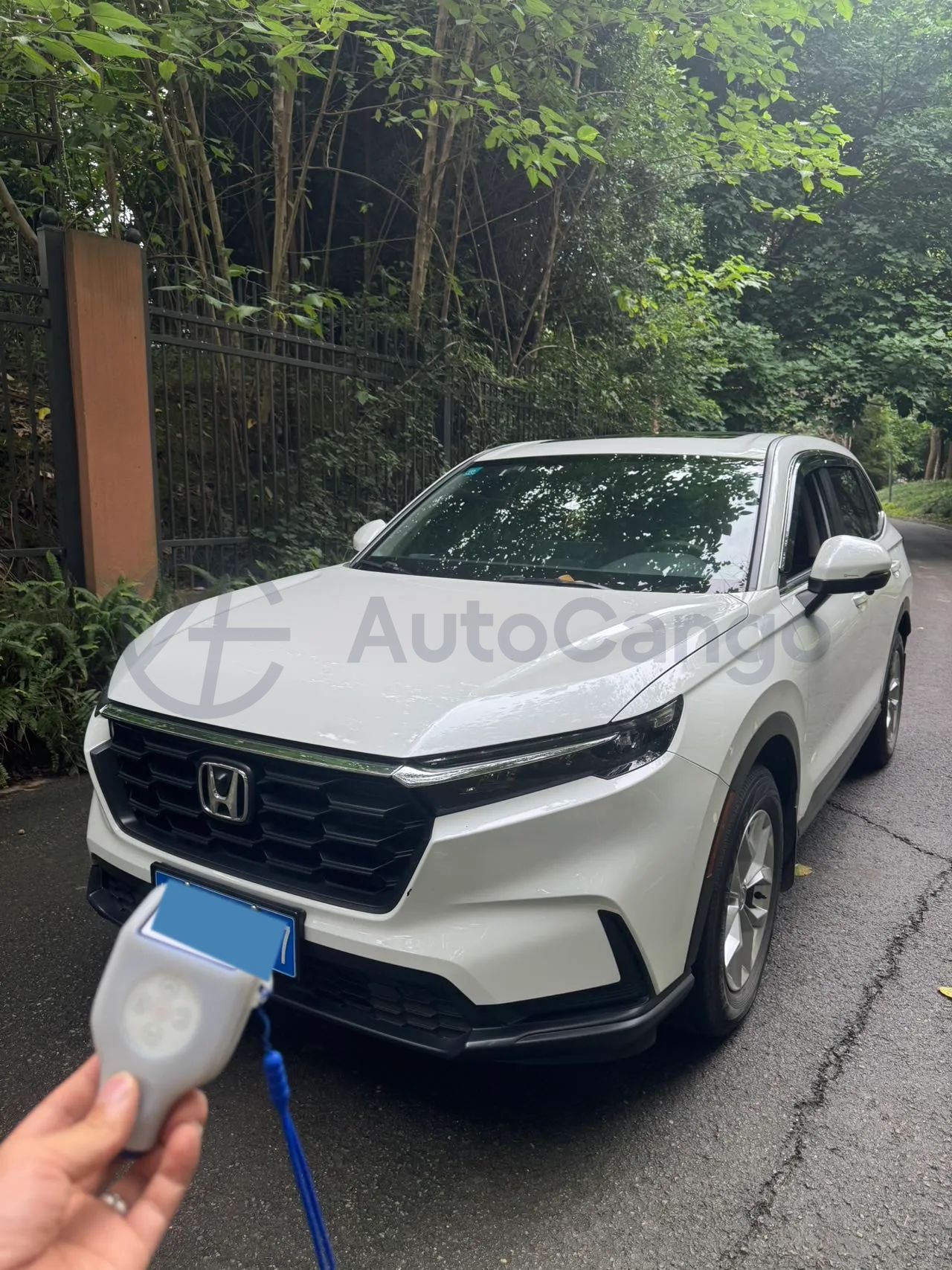 HONDA CR V